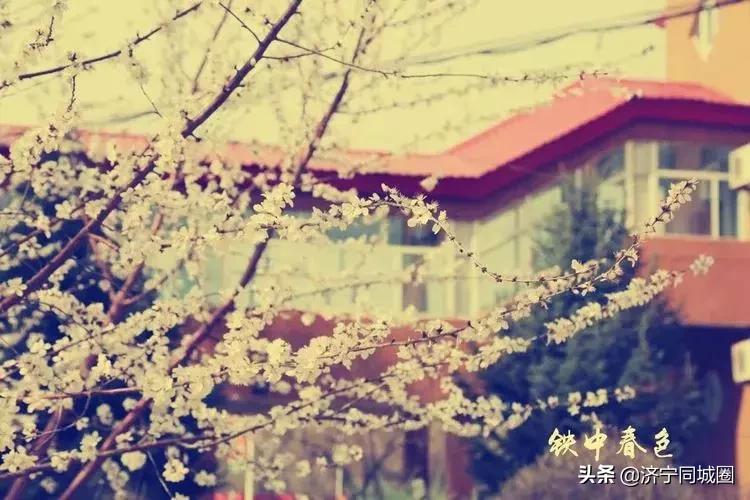 鍏栧窞閾佷腑鍘嗕换鏍￠暱,鍏栧窞閾佷腑93灞婃瘯涓氱収