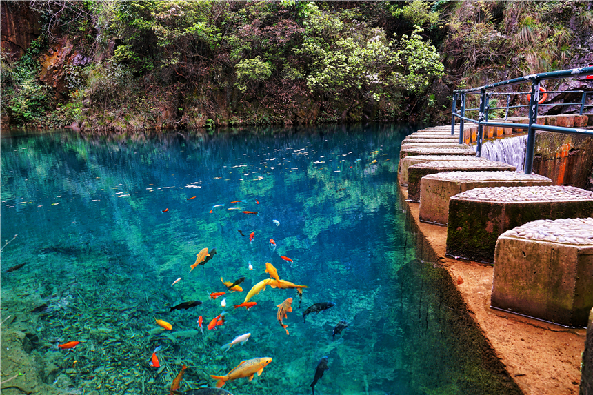 杭州桐庐景点最好玩的排名,杭州桐庐县有什么好玩的