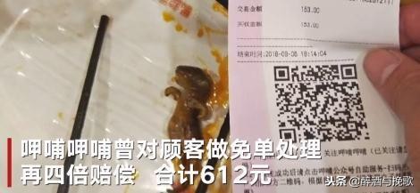 孕妇吃到老鼠后续,餐厅吃出老鼠孕妇