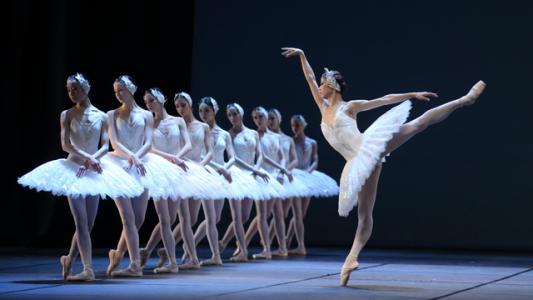 优美的旋律之王《天鹅湖》，悠扬音乐伴随典雅舞姿，神秘又美丽