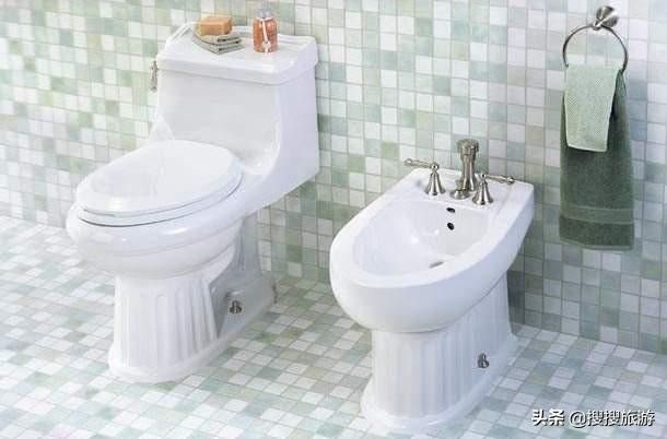 欧洲宾馆卫生间为什么有两个马桶,欧洲卫生间像马桶一样的是什么