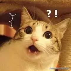 当下最常见的妇科疾病,四种不可忽视的妇科疾病