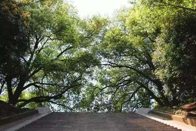 南京人少景美的免费公园,太全了全国旅游简图