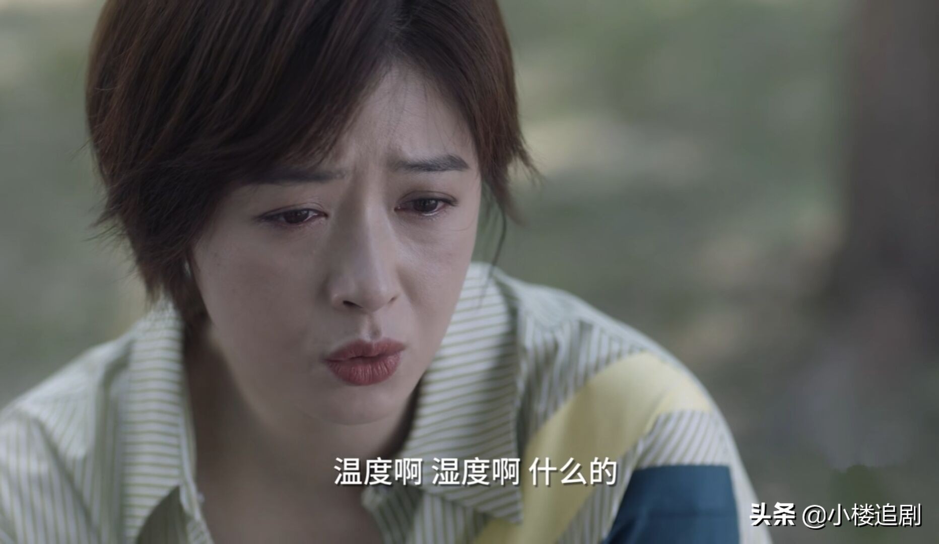 小舍得大结局揭露心酸真相,小舍得原著各人结局