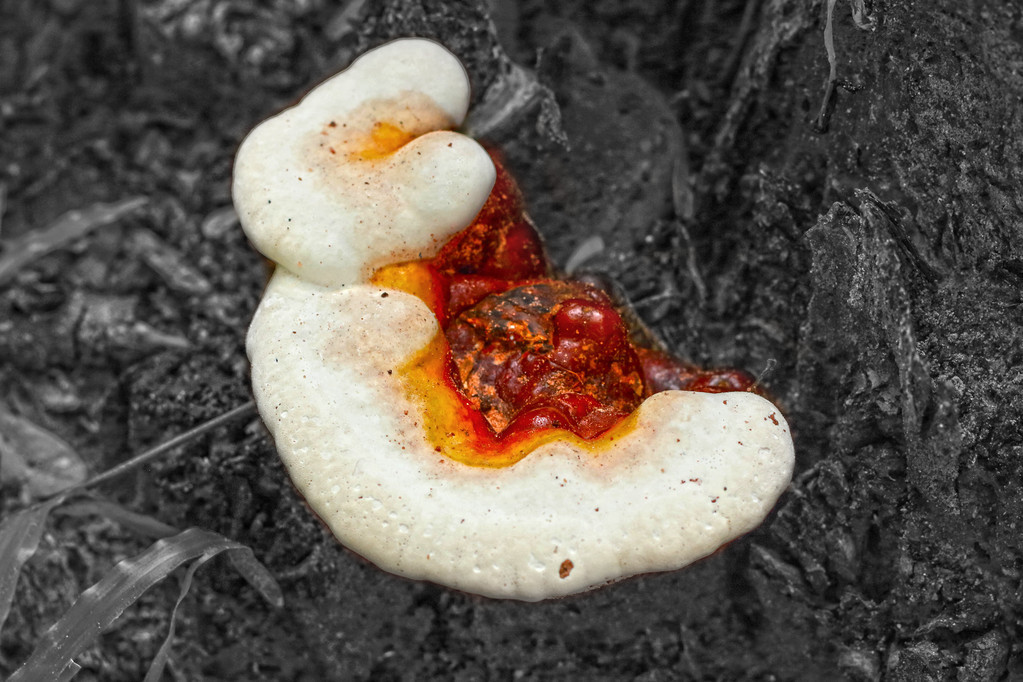 失眠焦虑多半是心理问题,学会这四个方法应对,睡眠自然回归