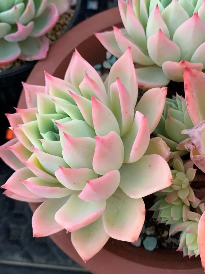 禁足的日子收获颇多,禁足