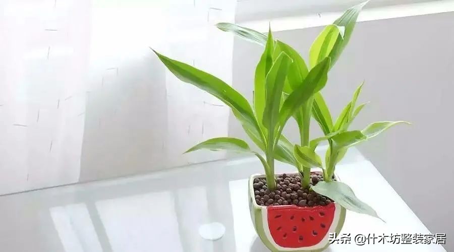 家具发黑发霉是什么原因引起的,家具晒变色了怎么处理