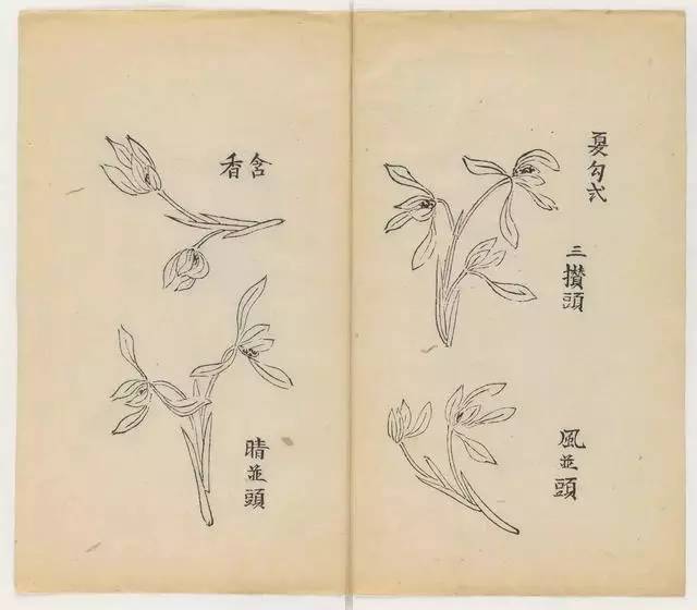 毛笔怎么画兰草,怎么画兰花和书法