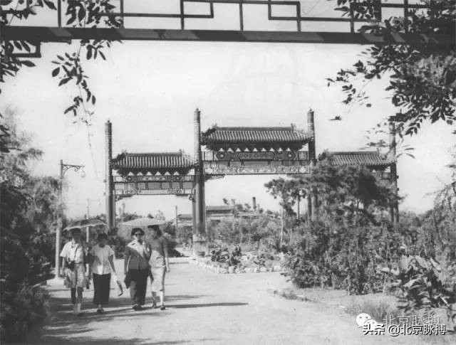 记忆中的北京绘画,这些画最能还原真实的老北京