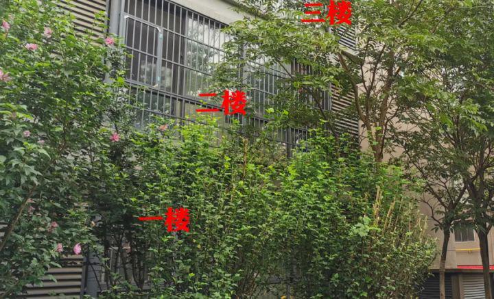 为什么买房不买第一层,为什么买房不选择最顶楼