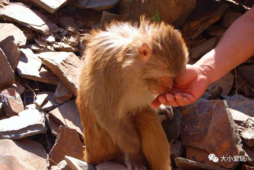 北京遛娃网红打卡地,北京又添一波遛娃新去处