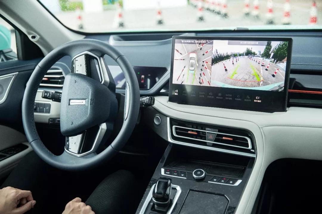 好一朵美丽的花,好一朵美丽的奇葩花