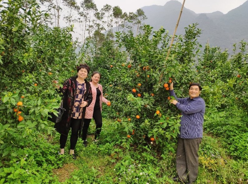 广西农特产品网网友是怎样分析米豆果蔬优质好吃原因的