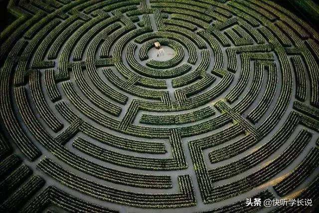 梦到底是潜意识的什么,梦是怎样形成的为什么会做梦