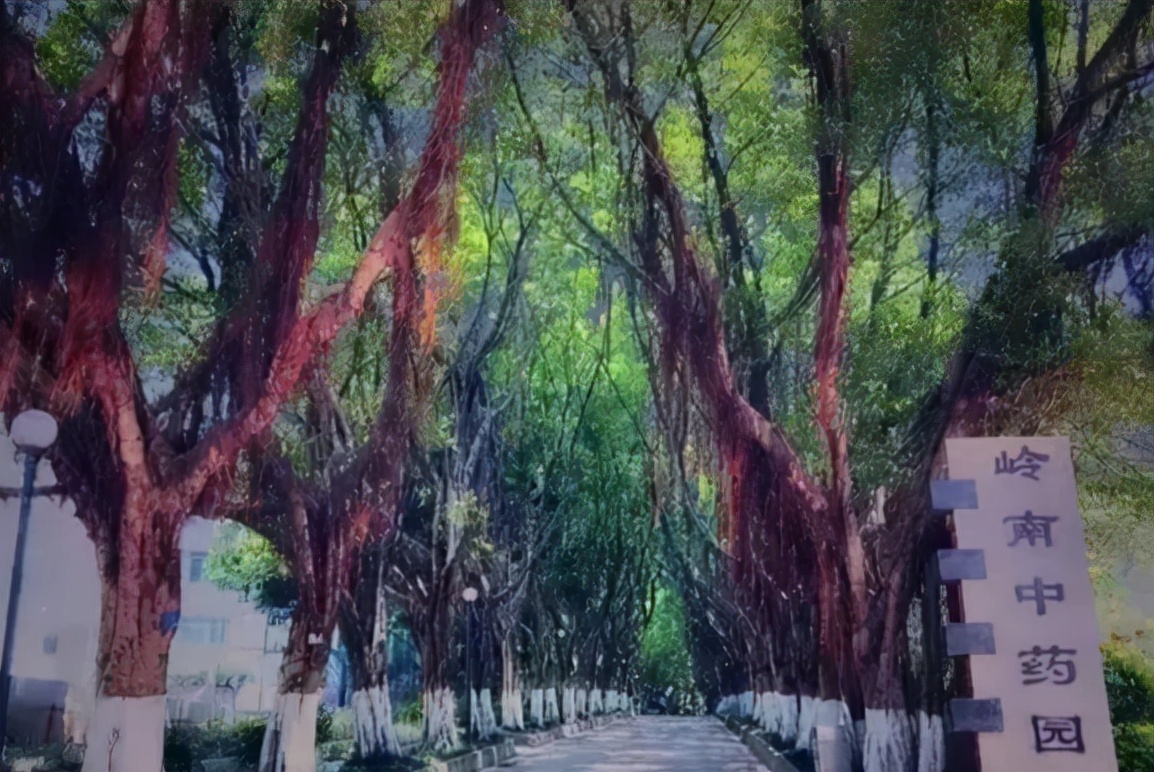 广东省的优秀高校,广东省优秀院校