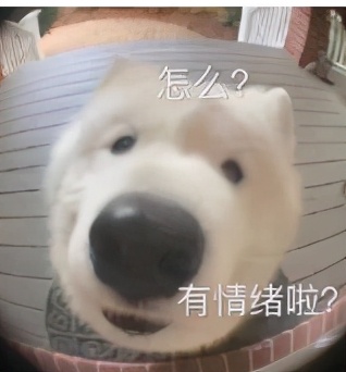 知名女主播张琪格直播拿户口本征婚:27,本科,明天就能领证