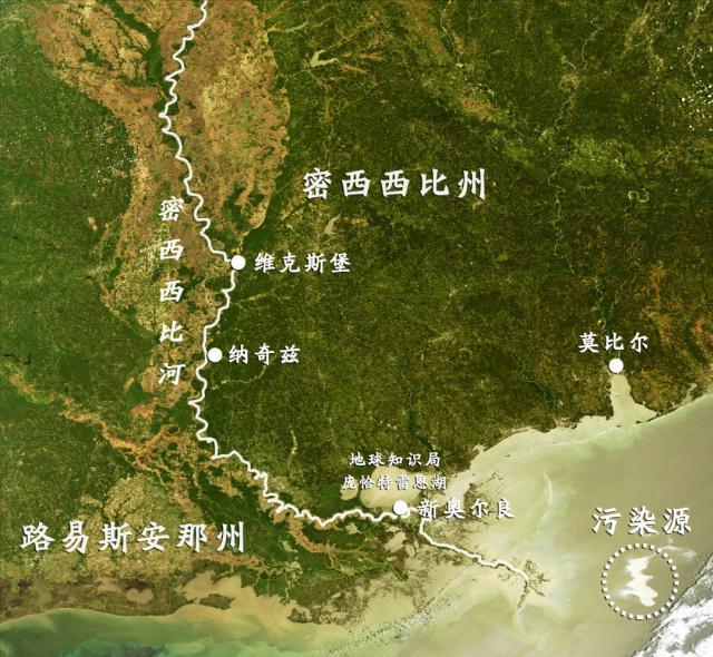 巴西龟的正确放生方法,巴西龟放生违法案例