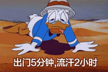 200元以上防晒推荐,防晒服值不值得入手