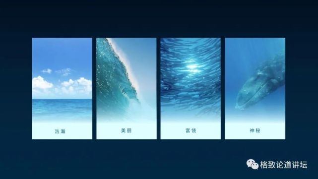 除了能提高人体免疫力，这个“肥宅”还是海底清道夫