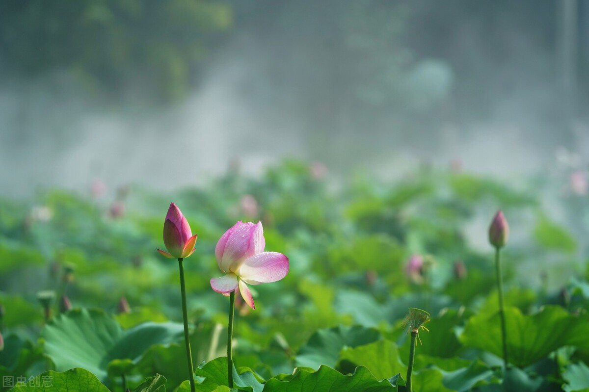 黑龙江鸡西风景区有哪些,黑龙江鸡西美景分享