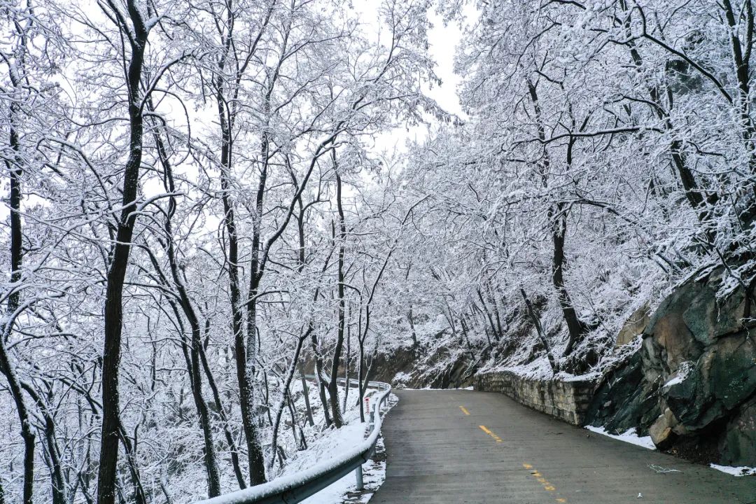 赏雪何须去北国,赏梦幻雾凇耍雪的绝佳去处