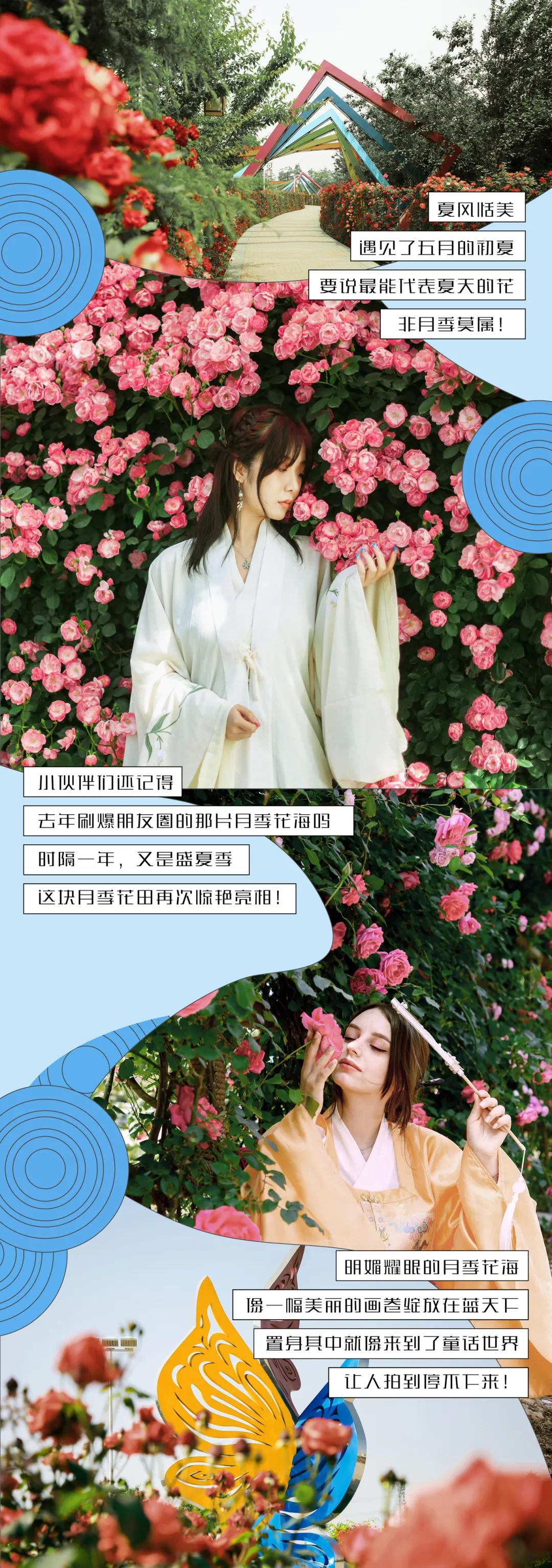 又刷屏了！高新这片花海，惊艳你的朋友圈！