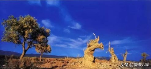 中国之最的城市你知道多少,中国之最你们都知道吗