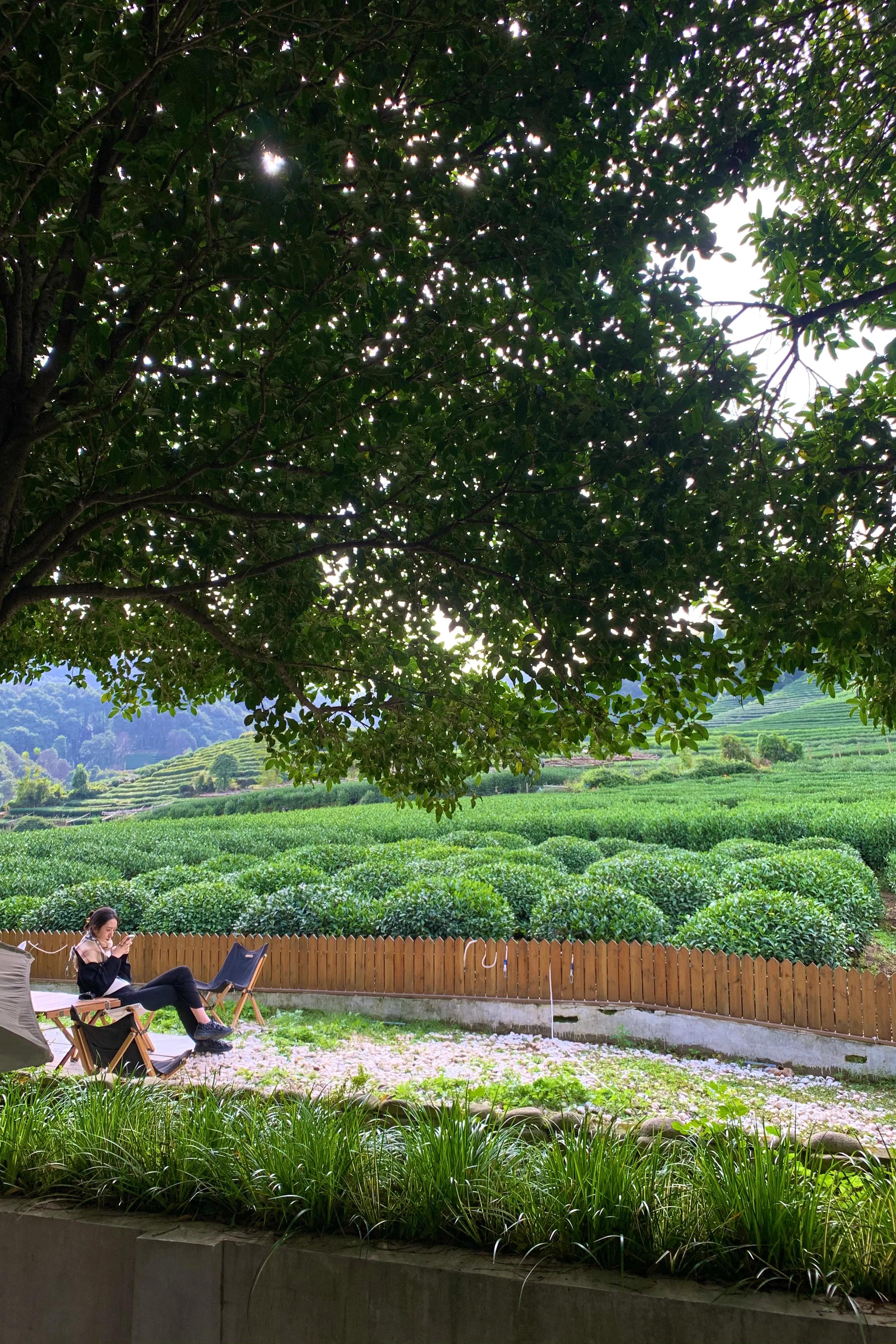 在杭州生活真难吗,在杭州生活有什么优势