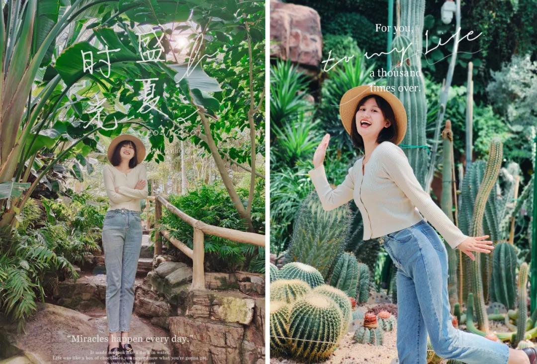 青岛粉黛花海拍照,青岛好看的拍照地怎么拍