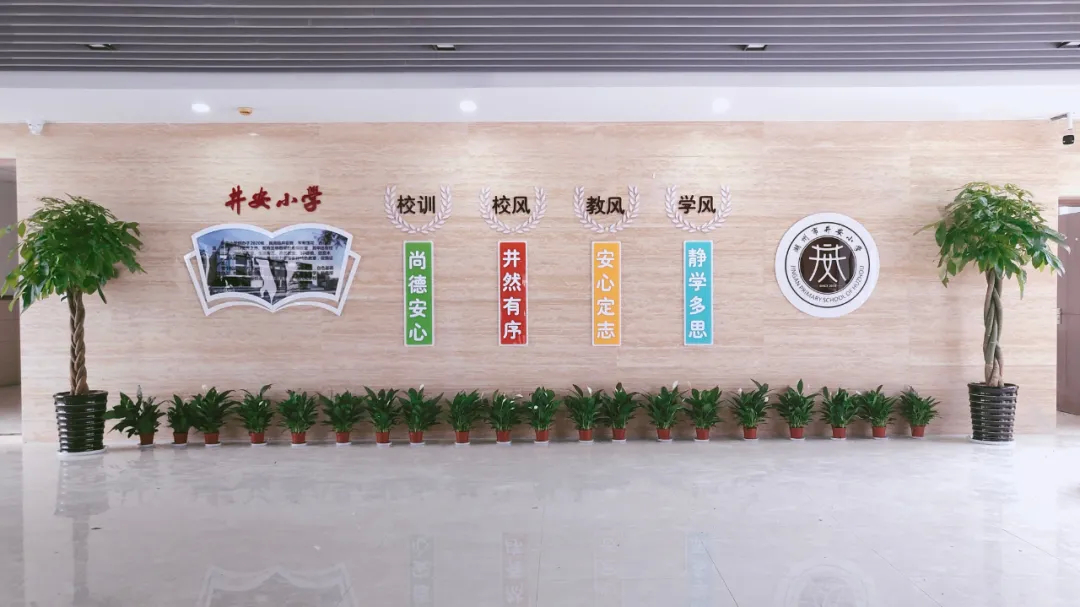 湖师附小教育集团井安小学,湖师附小各校区对比