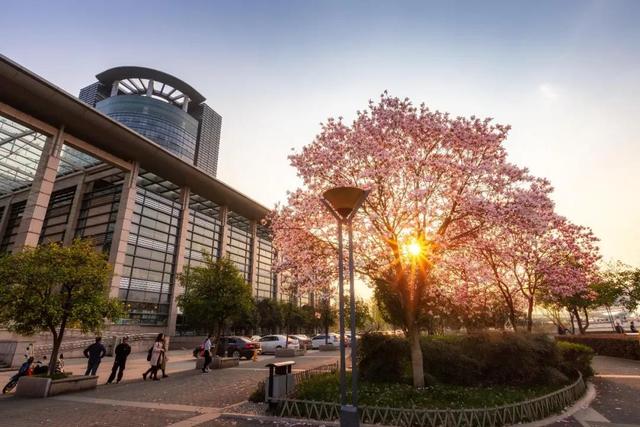 宅家又如何？翻开相册！浙大学子带你进行回忆式线上旅游！