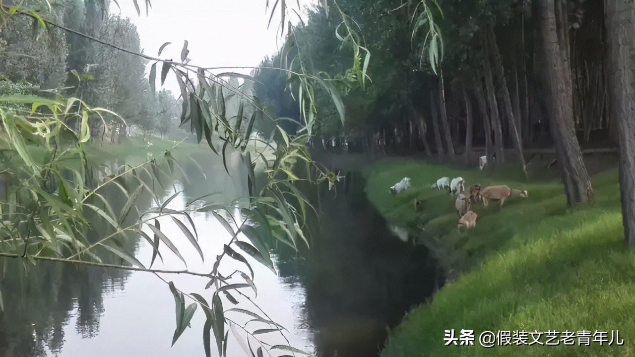 卫辉文化特色,卫辉人文历史