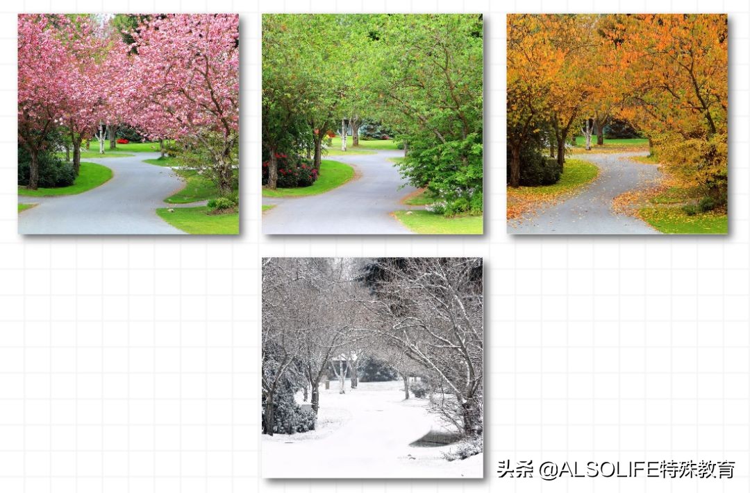 返场呼声最高，经典实用的大黑盒语言训练名词动词卡，终于有货了