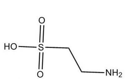 世界上寿命最长的十种哺乳动物,远古时期灭绝的哺乳动物大全