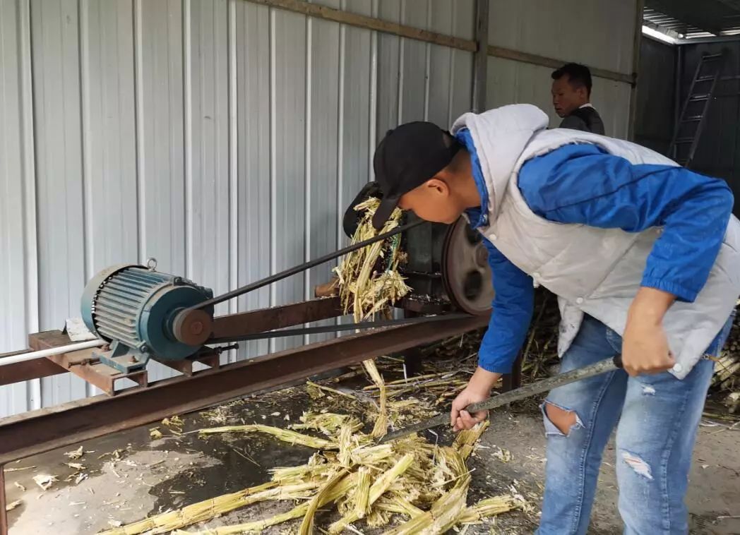 红糖蔗香,溆浦甘蔗手工熬制的红糖