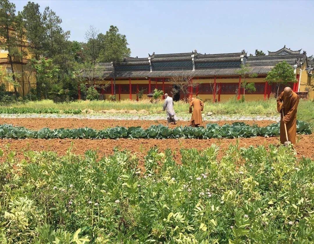 抢抓农时开展农业生产,农民纷纷抢抓春耕生产有利时机