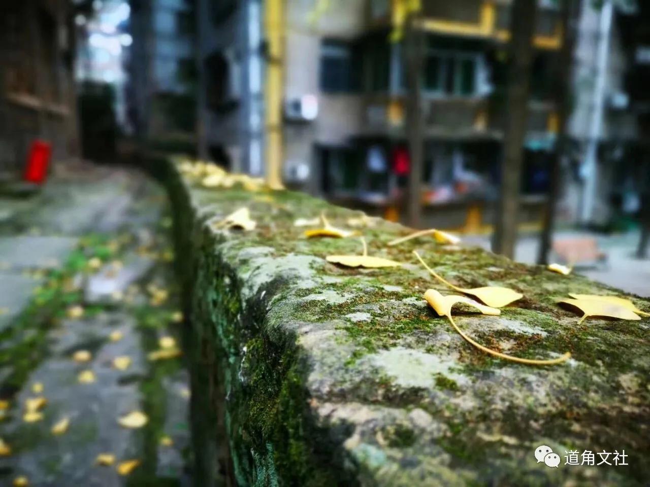 鐏攨濂冲鍘熷敱,鐏攨閲岀殑濂充汉