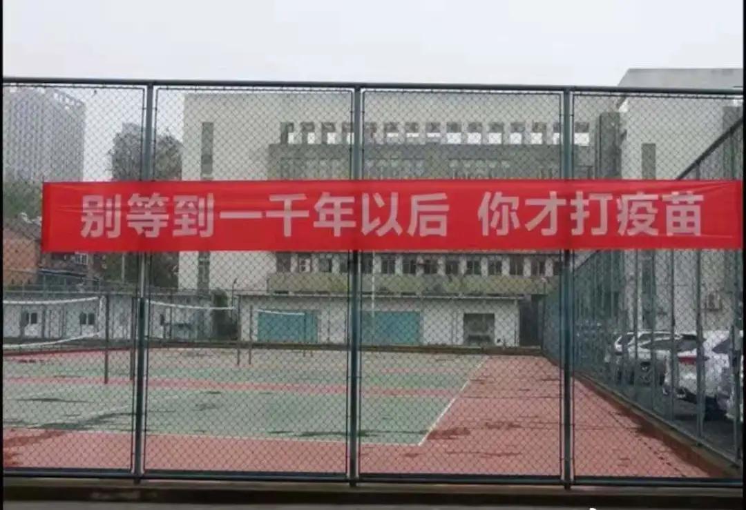 体验打新冠疫苗,中国人会全民打新冠疫苗吗