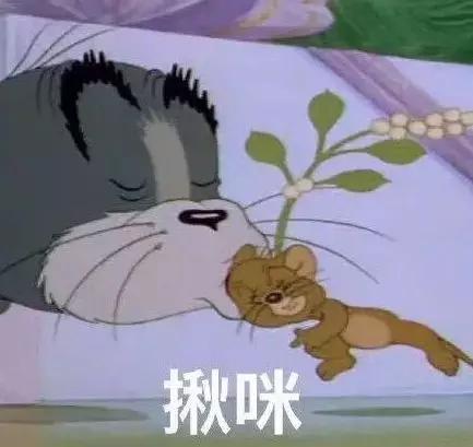 为什么mac口红这么难用,mac口红真的不好用吗