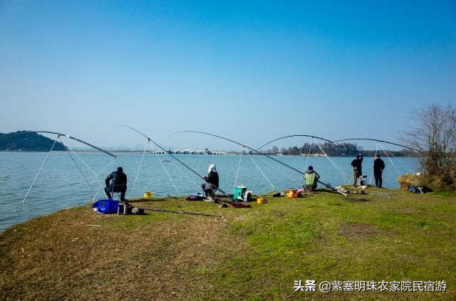 遵化有山有水的农家院,遵化美丽农家院