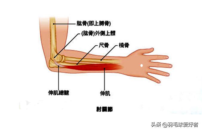 打羽毛球超过三年你该懂得这些,羽毛球有谁一直被伤病困扰