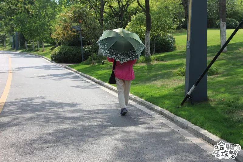 庐阳老城内藏着一处最大的综合性森林公园，人少景美，关键还免费