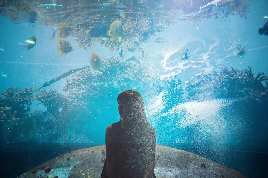 东京自由行最佳攻略详细,东京5日自由行攻略