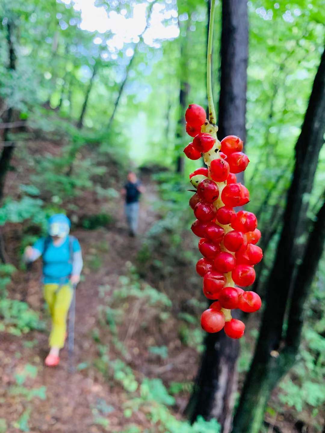 户外领队介绍路线,户外领队采访