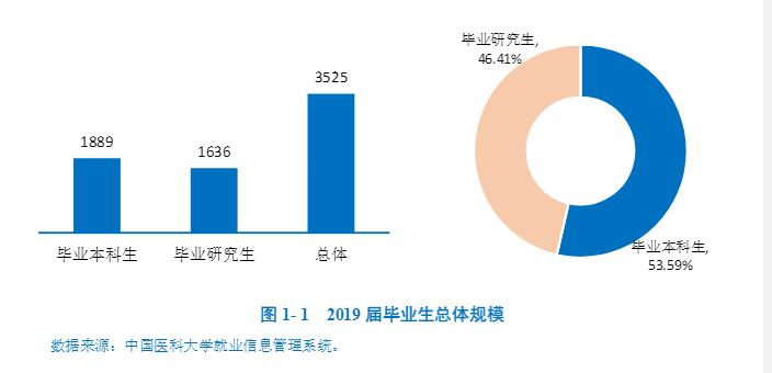 本科生就业率达95.99%,中国医科大学2019届毕业生就业现状大揭秘!