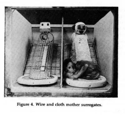 4个月婴儿哭2小时窒息后续,3个月宝宝哭两小时窒息死亡事件