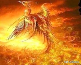 四海八荒十二大神兽，你了解几个？大多数人只知道凤凰