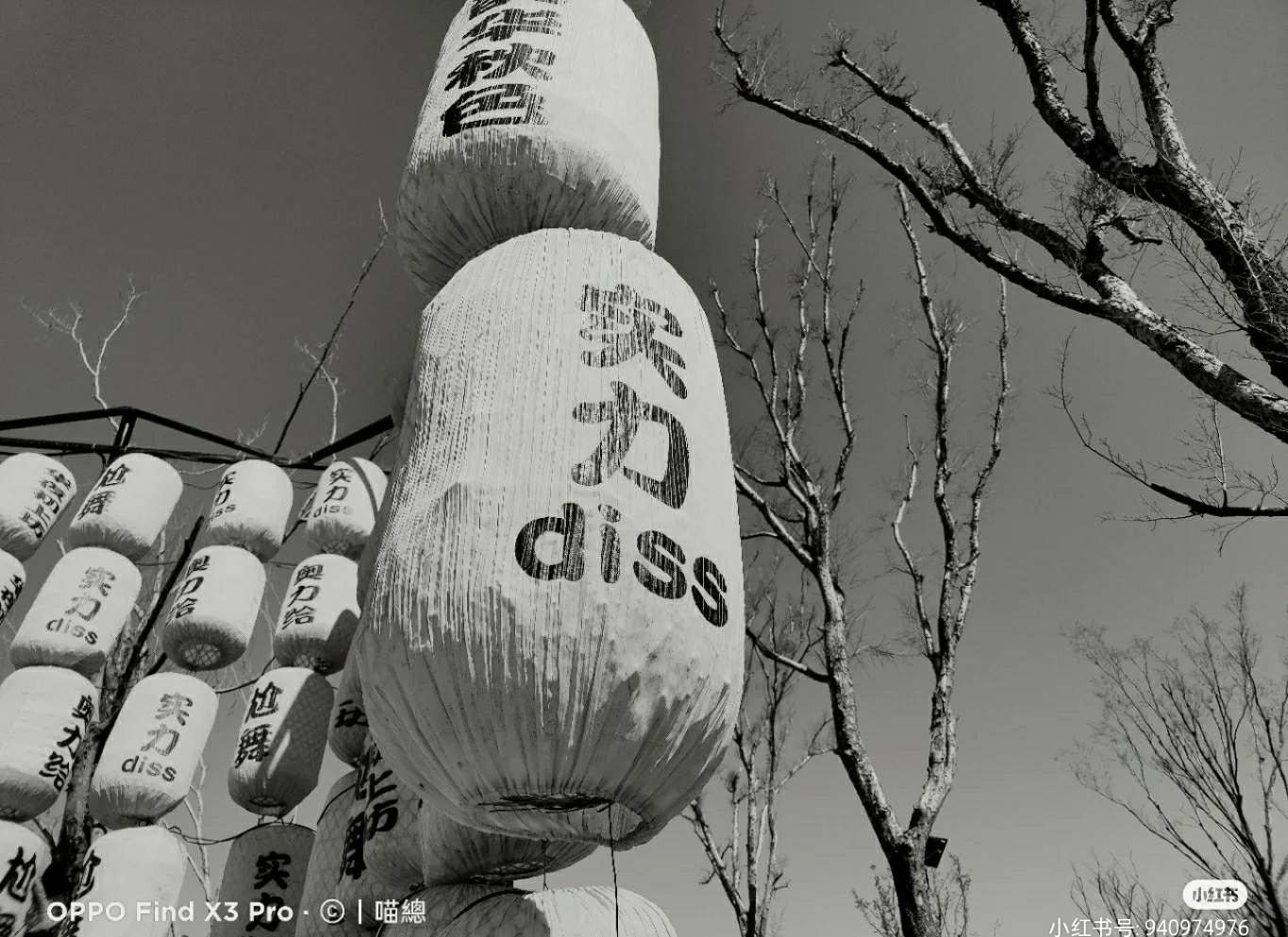 微观世界大自然,微观世界的神奇视频