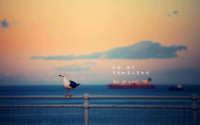 心灵鸡汤励志感悟正能量的短句,心灵鸡汤正能量句子句句暖心