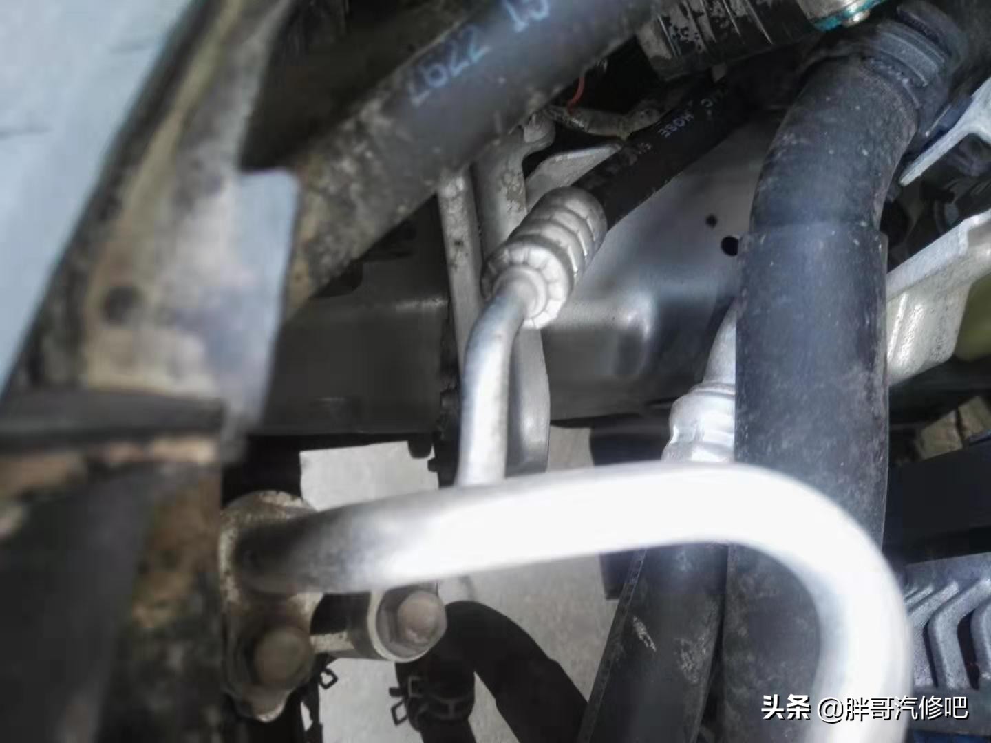 马自达3胖哥,胖哥试驾马自达3